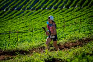 BIB: 702
                            <button type="button" onclick="openModal(19160731)" class="btn btn-primary btn-sm float-right btn-popup" data-toggle="modal" data-target=".modal-high-quality">
                        <i class="fas fa-shopping-cart"></i> Add to Cart
                    </button>
                                            <button type="button" onclick="isThisMe(19160731, true)" class="btn btn-success btn-sm float-right btn-popup btn-isme hidden" data-toggle="tooltip" data-placement="bottom" title="นี่คือรูปของคุณใช่ไหม คลิกที่นี่เพื่อเอาเข้าอัลบั้ม">
                        <i class="fas fa-plus"></i> Add to album
                    </button>
                    <button type="button" onclick="isThisMe(19160731, false)" class="btn btn-warning btn-sm float-right btn-popup btn-isnotme hidden">
                        <i class="fas fa-ban"></i> Remove from album
                    </button>